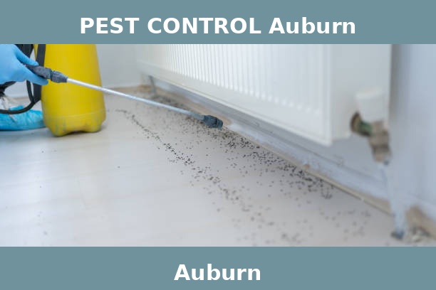 PEST CONTROL Auburn